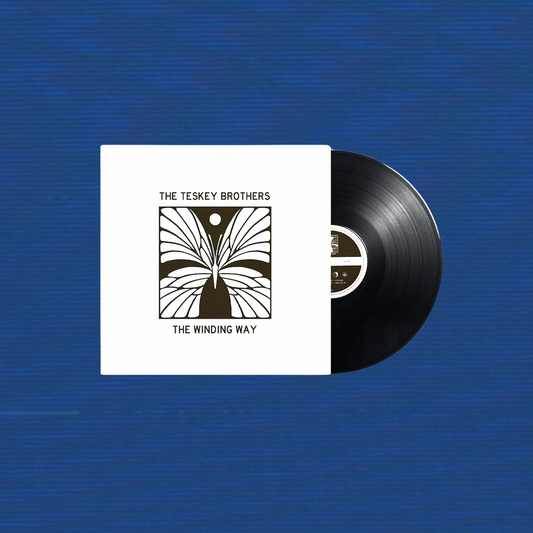 The Teskey Brothers: The Winding Way Vinyl LP