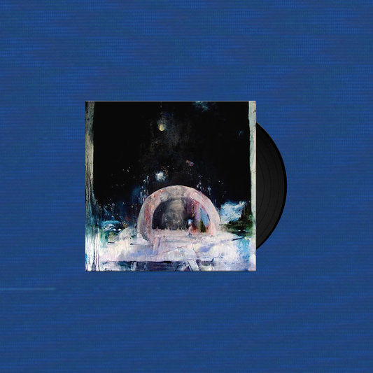 Daughter: Not to Disappear Vinyl LP